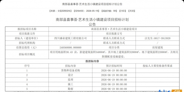 南部县喜事荟·艺术生活小镇建设项目招标计划公告