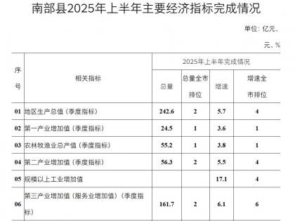 南部县2025年上半年主要经济指标完成情况