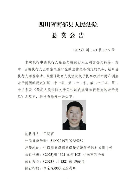 南部城事-南部县人民法院悬赏公告！(1)