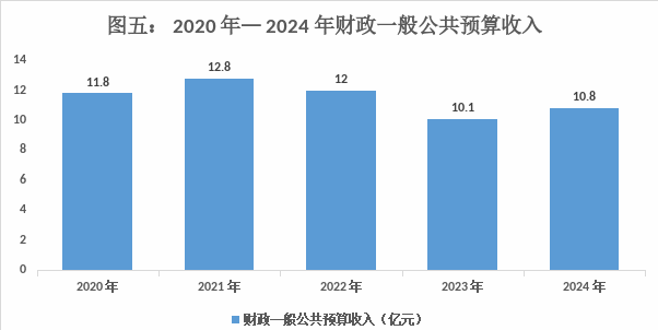 南部城事-2024年南部县国民经济和社会发展统计公报(5)