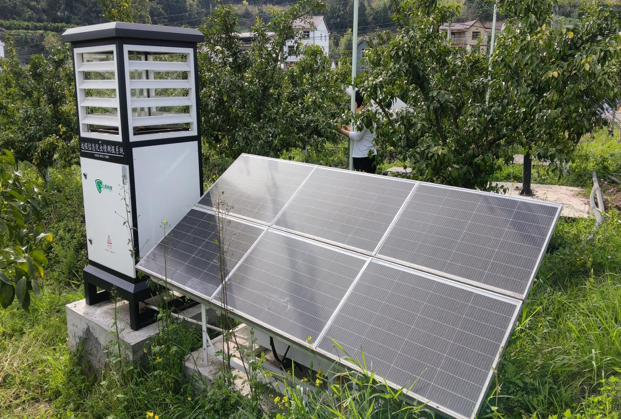 南部城事-南部县：构建“绿色植保”体系，筑牢“天府粮仓”安全防线(2)